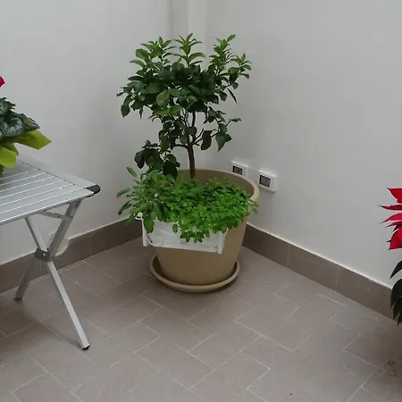 Il Giardino Segreto * Palermo