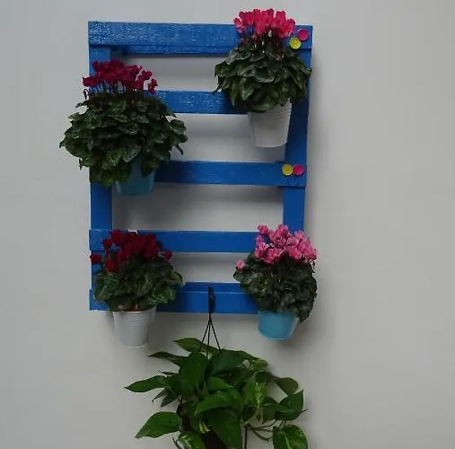 Il Giardino Segreto